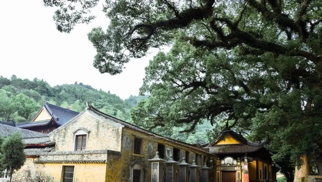 有生活 | 独具魅力的千年古寺流庆寺_寺庙_温岭_大溪镇