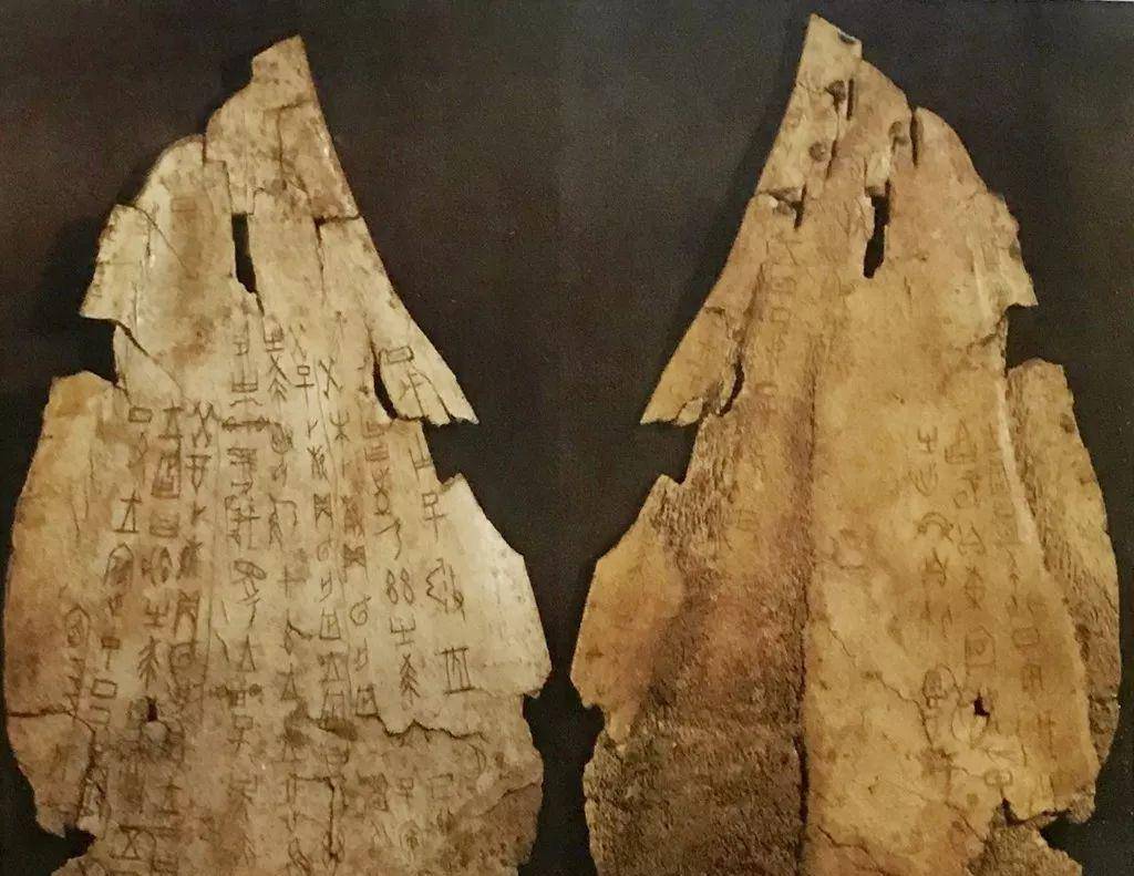 贾湖考古有助跳出思维陷阱_文明_遗址_甲骨文