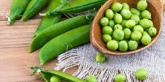 豌豆也同样不适合狗狗,有些狗狗本身是对豌豆过敏的,如果主人不清楚