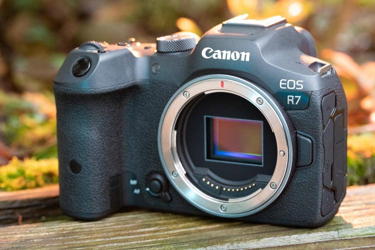 半画幅年度真香机？佳能EOS R7体验测评
