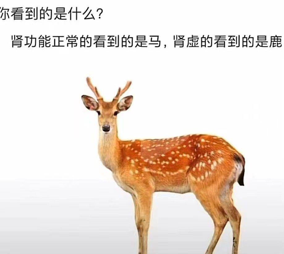 今日嘲笑话：不要用本身的喜好去挑战他人的专业