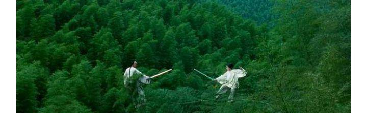 被视为经典的《卧虎藏龙》里的竹林打斗戏,章子怡立在竹梢上,地下八个