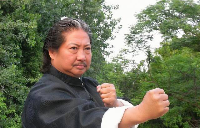 钱嘉乐电影蝎子战士_钱嘉乐 替身之王 动作片