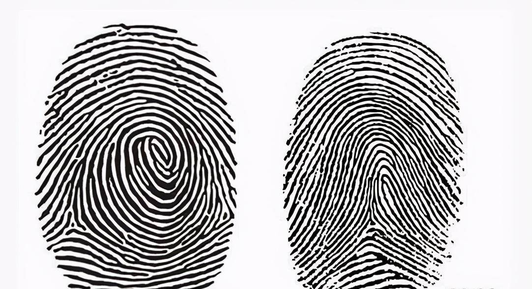 通俗理解,即人手指头上的指纹形状.