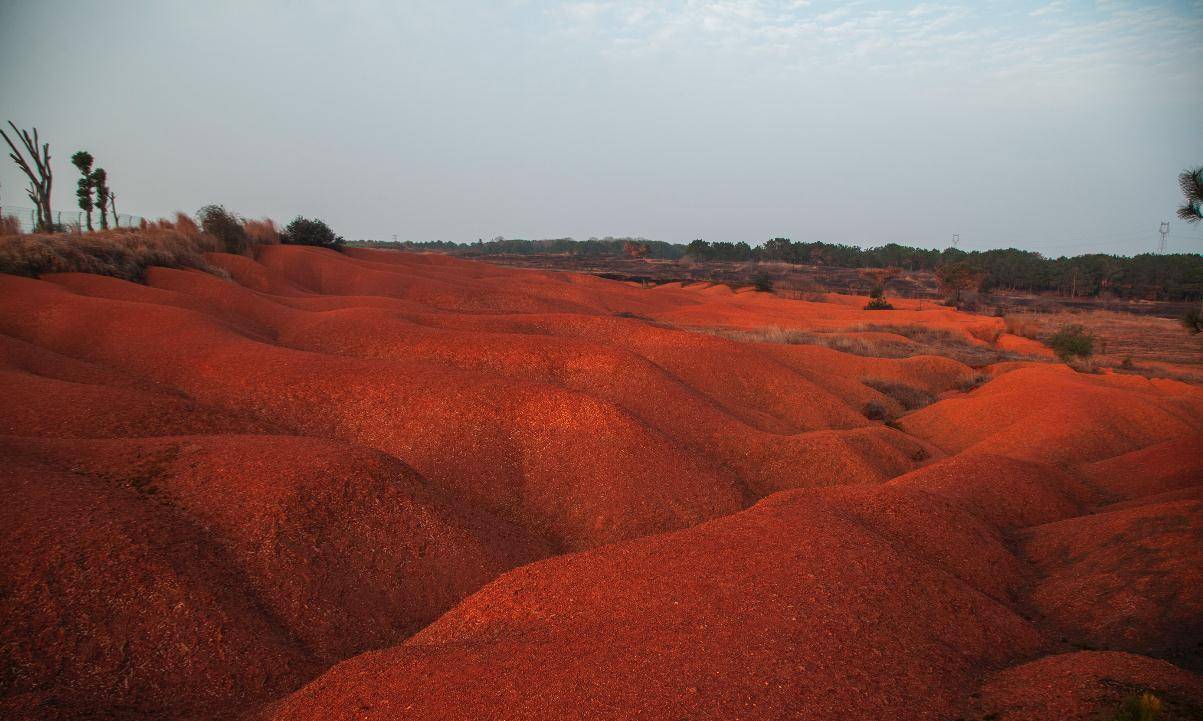 红壤形成过程图片