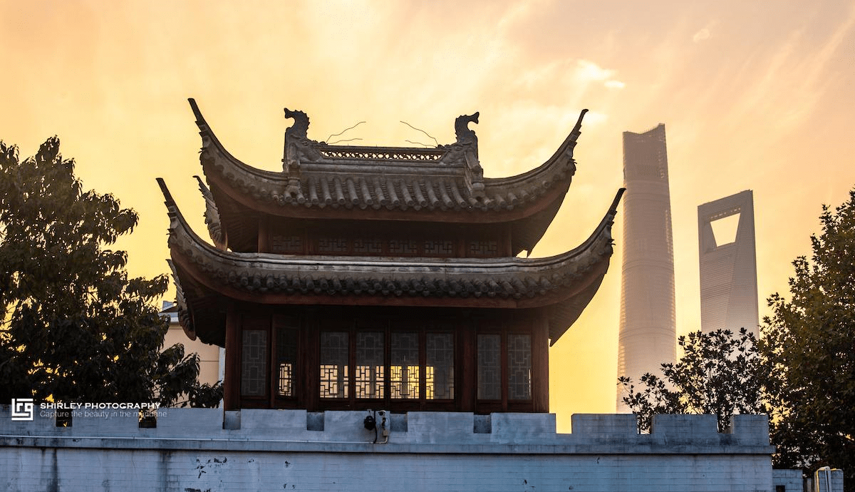 上海新晋网红公园,景色受摄影师青睐,昔日门票50元现在免费开放