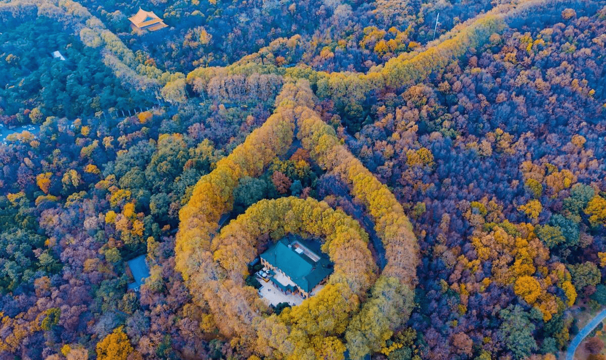 中山陵的音乐台,就是不能错过的浪漫,数不清的白鸽在此驻留,随意坐