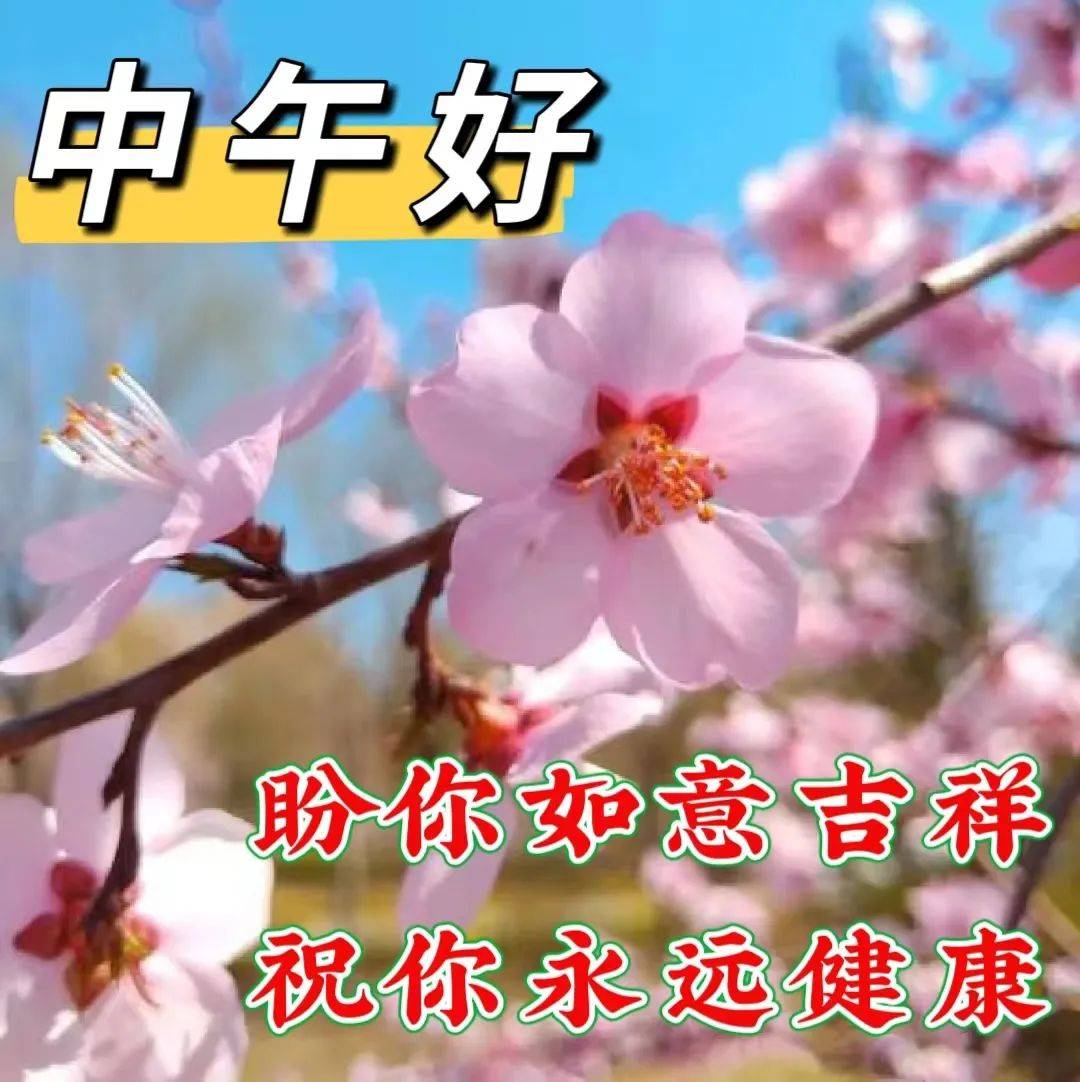壬寅年 癸丑月甲戌日今日是小寒的第十三天,离下一个节气"大寒"还有3