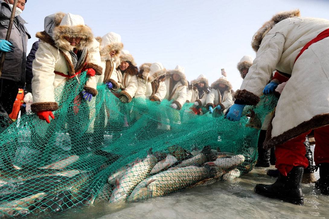 我国最大内陆淡水湖冬捕首网"开门红" 人欢鱼跃迎丰收_渔业_博湖_捕捞