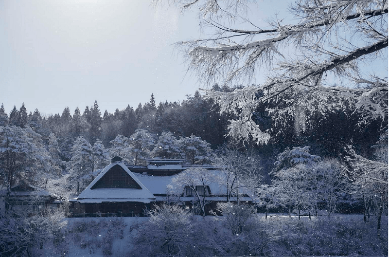 赏雪品酒列车