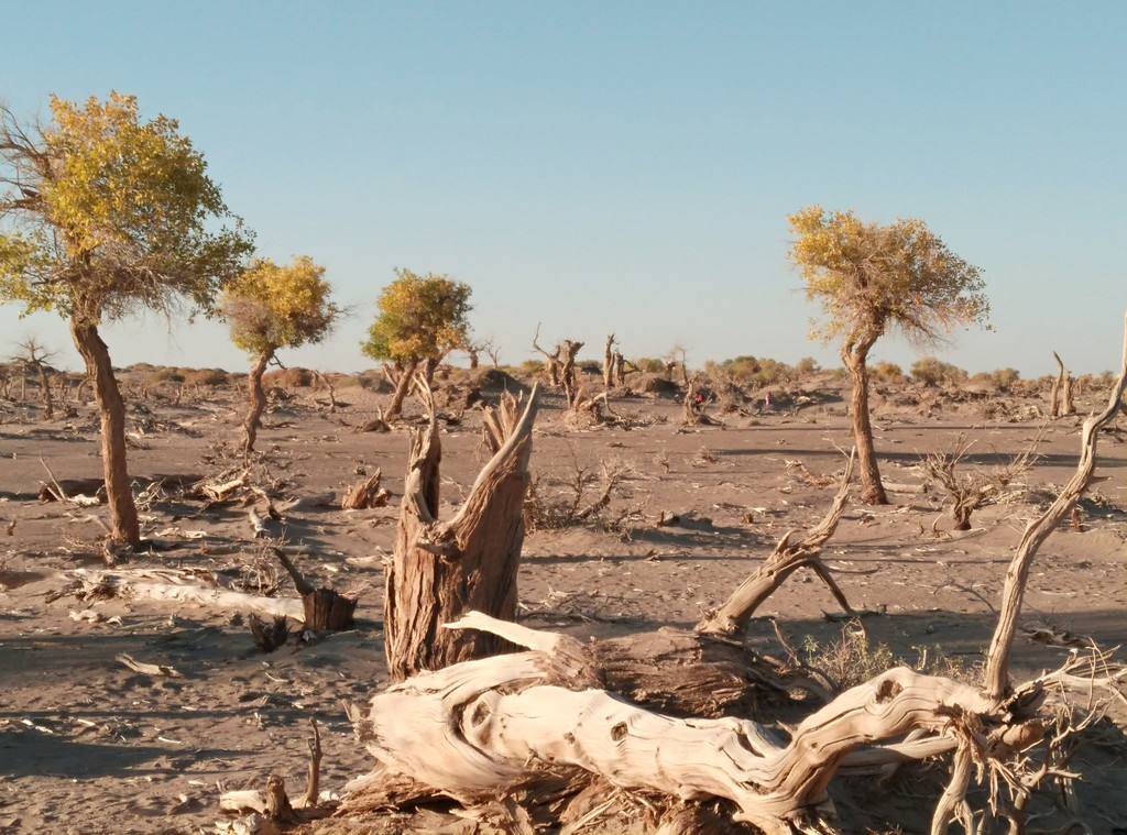 地球为何灾难频发?人类亲手对它进行伤害,地球也有自己的情绪_自然灾
