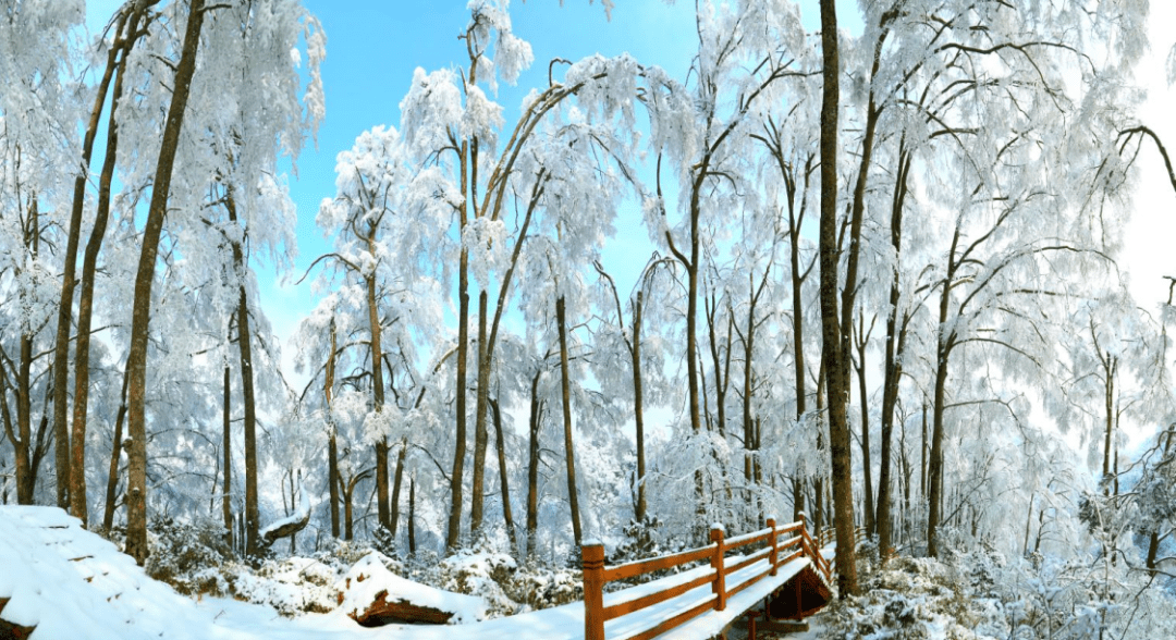 我們一起在光霧山旅遊區看一場冬天的日出,在雪地裡撒歡打雪仗,賞雪景