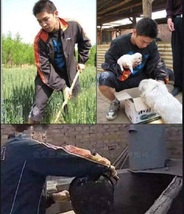 什么操作,刘国梁当年为何会把男乒王牌陈玘下放到农村养猪?