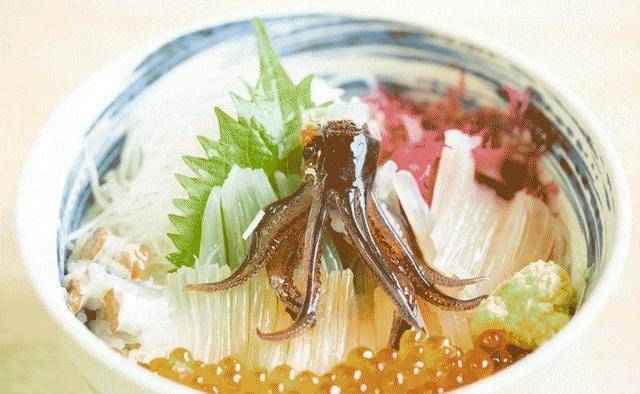 网友吃火锅菜品中发现蓝环章鱼，学韩国日本生吃章鱼？对人类警告