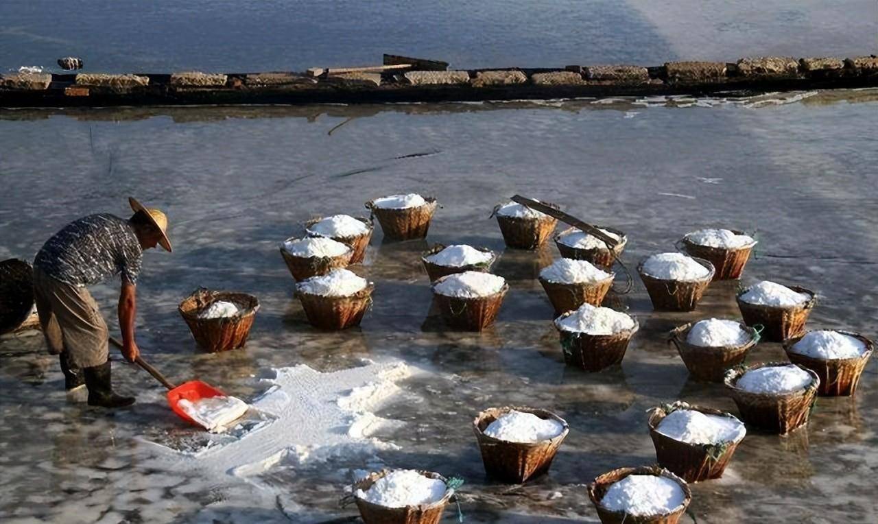 从盐业的发展史上,深度剖析近代山东私盐的泛滥及其成因_地区_走私_官