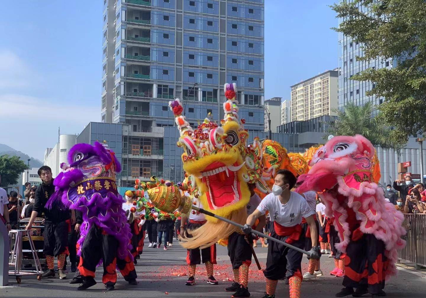 龍騰獅躍喜氣揚!珠海南屏鎮醒獅迎新春_活動_社區_文化