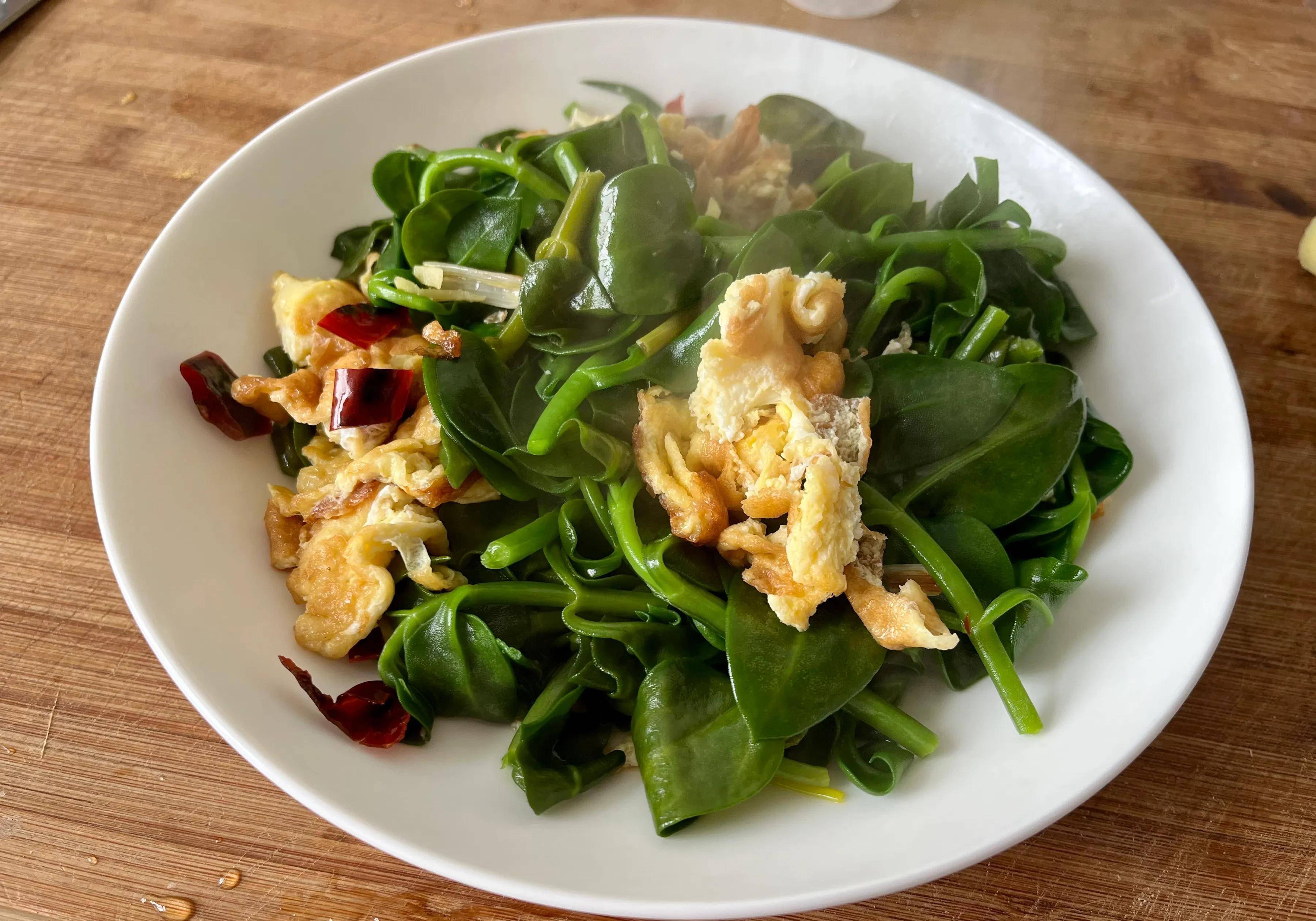 我的二姐:被支边"耽误"的美食家,一道凉拌苋菜能流传50年_母亲_奖励