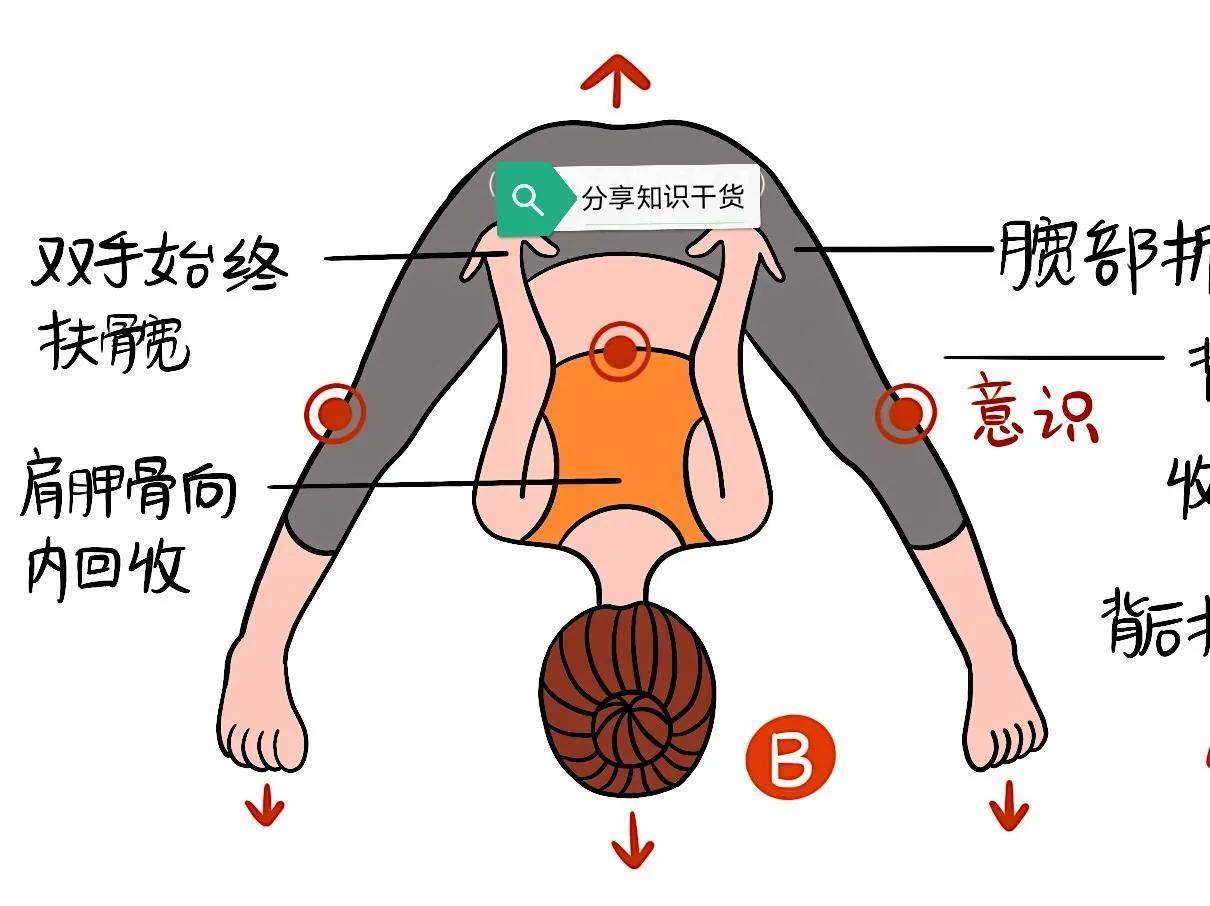 瑜伽体式,"双角式abcd"精讲!