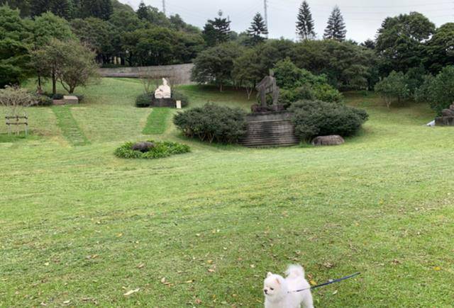 高以翔去世两周年,粉丝赶往其倒下的花坛旁祭拜,一切都犹如昨天_照片