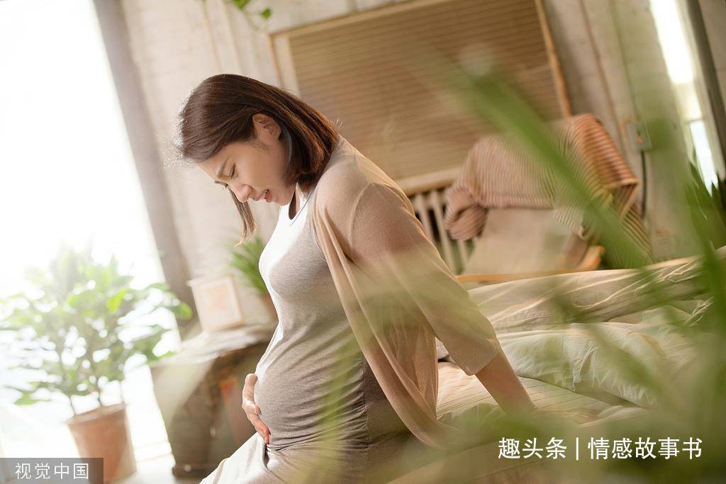 怀孕9个月时,我给老公跪下了,从此不敢打开手机备忘录_苏阳_小舅舅