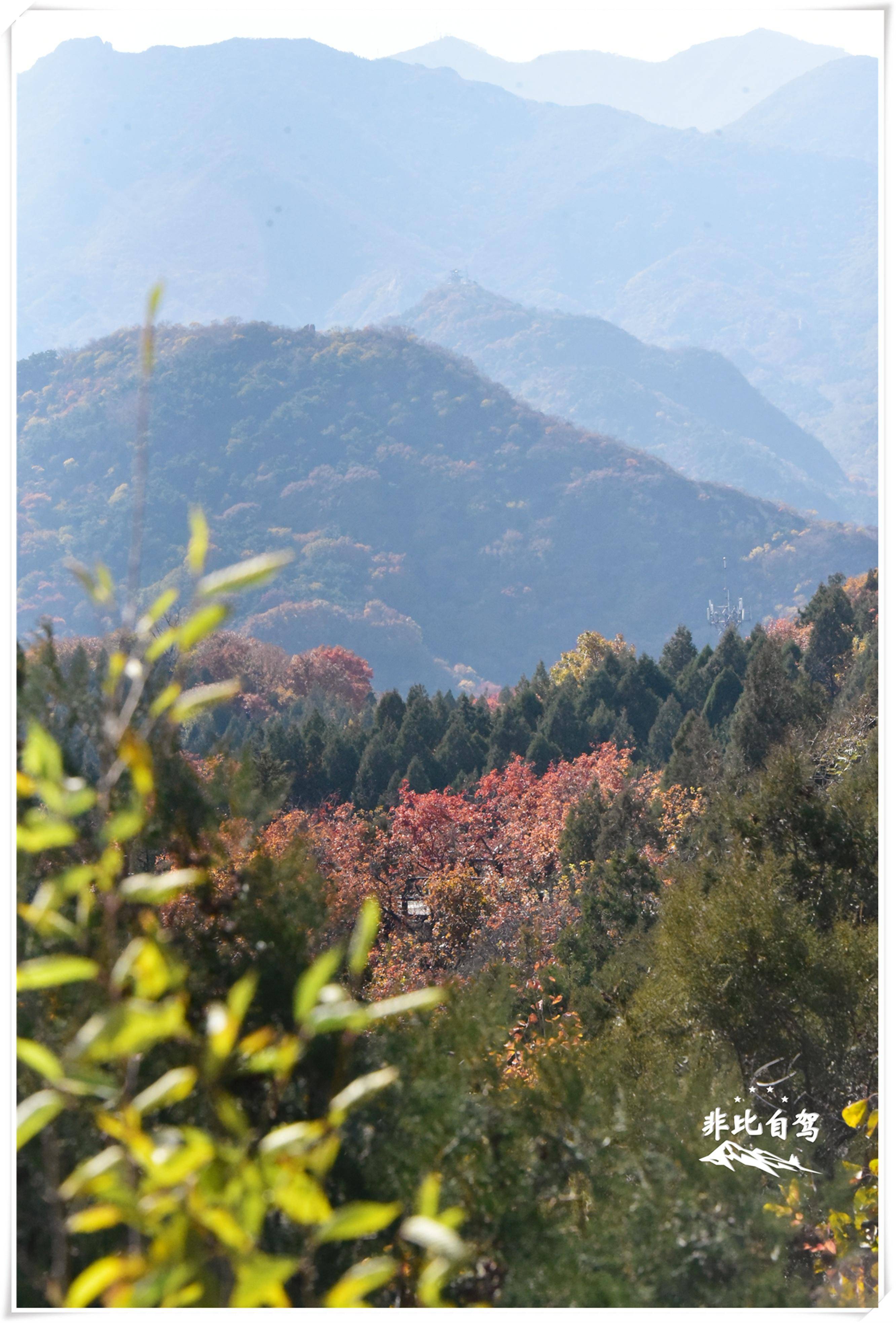 武安红叶岭风景区图片