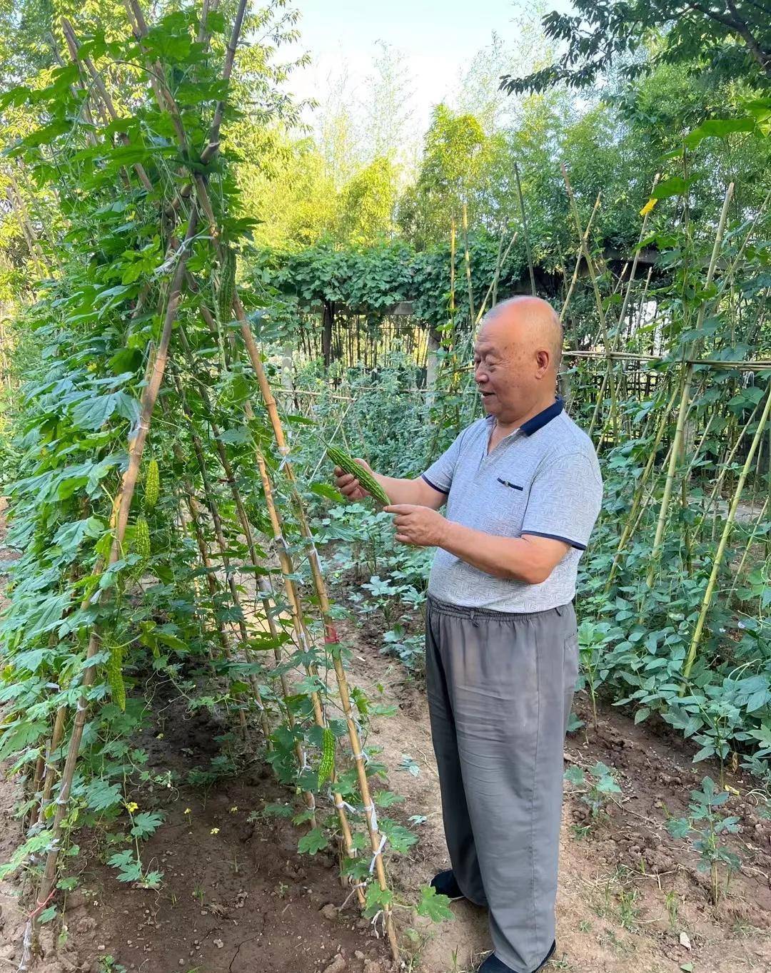 题王发虎老首长退休生活照_李子_终南山_毛竹