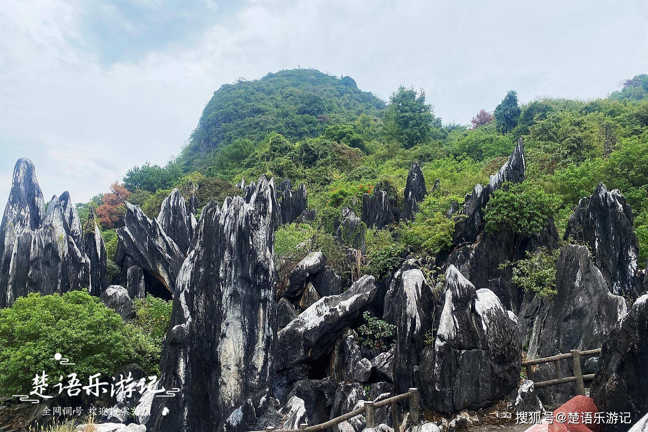 广西这处汉白玉石林如鬼斧神工,被誉为人间仙境,为啥褒贬不一?