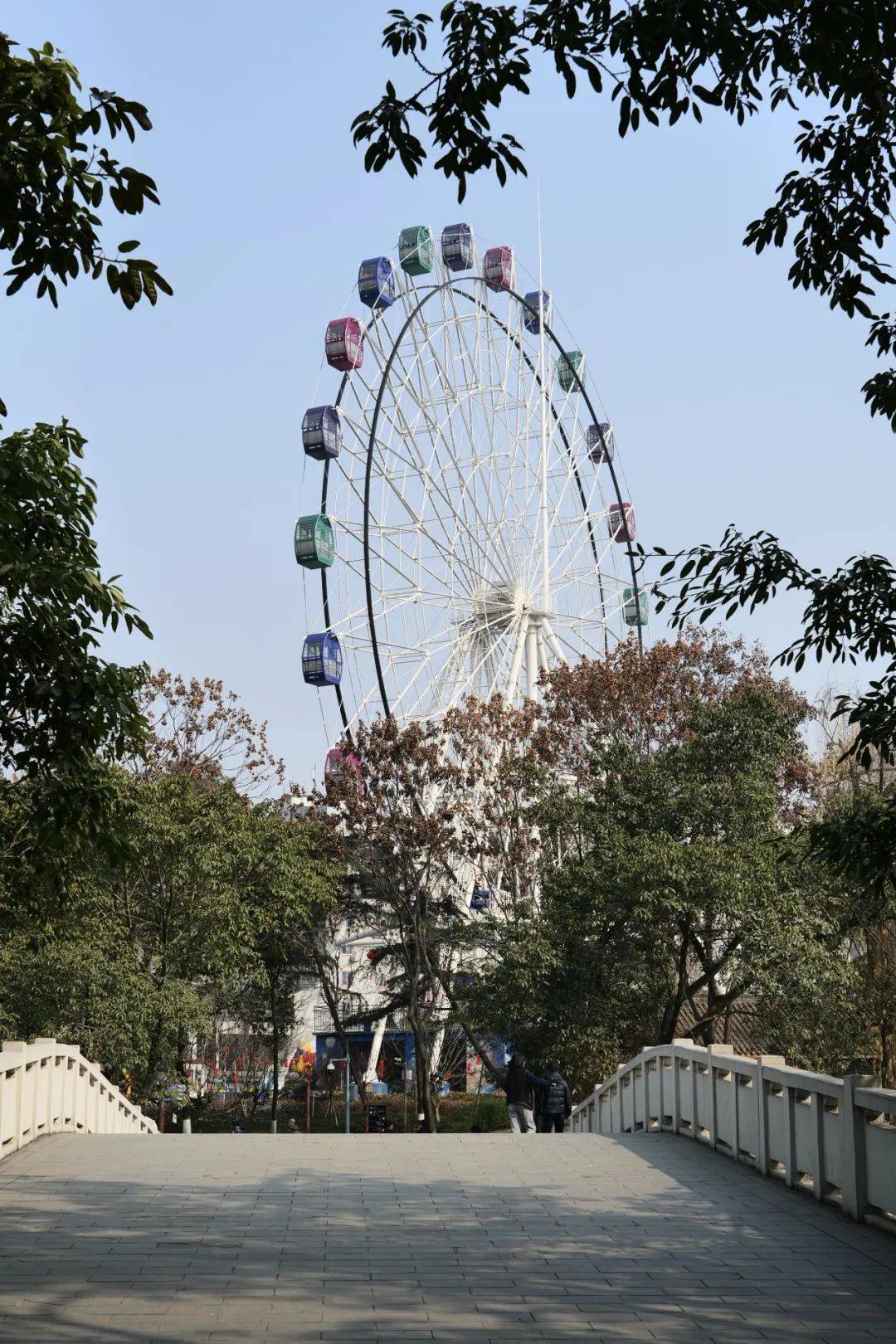 地址:锦江区迎晖路222号价格:摩天轮25元塔子山公园因为整个游乐场就