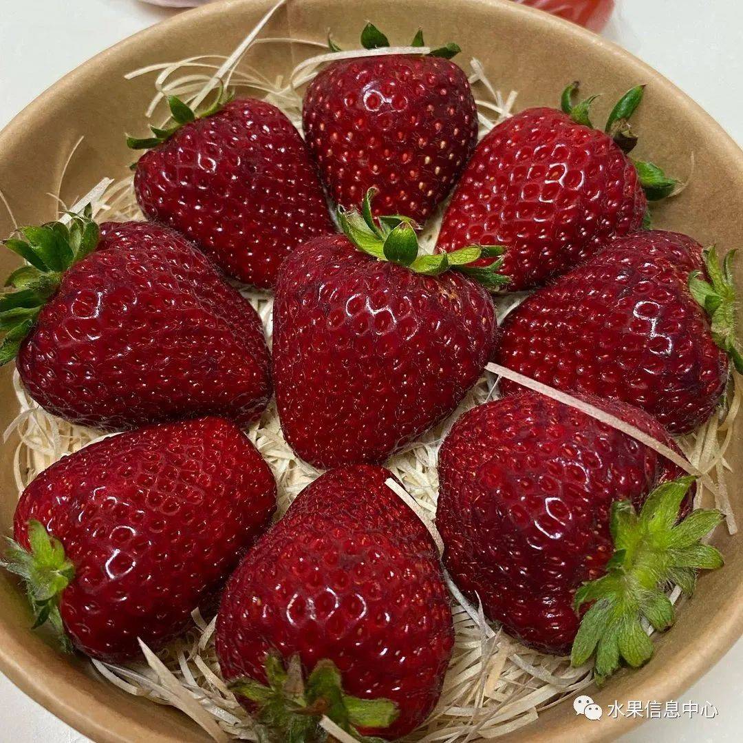 黑草莓火了,未来的水果会是五彩缤纷的吗?_品种_黑珍珠_颜色