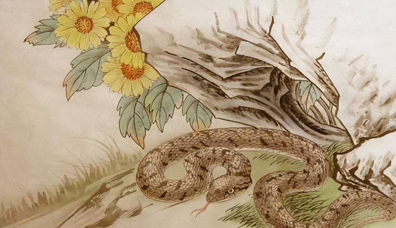 2023年2月蛇马羊:"平安莫急,好运来"!_生肖_工作_读者