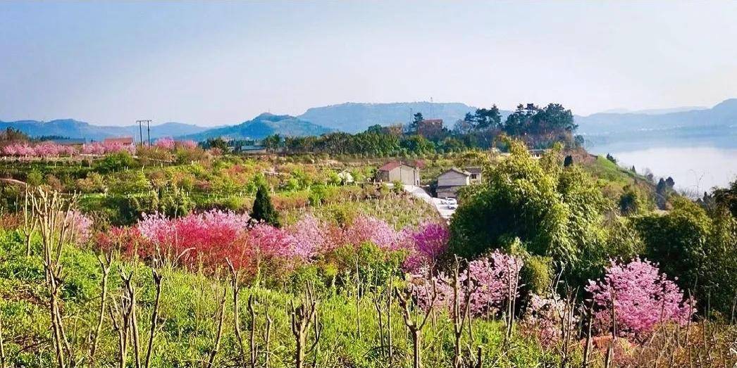 高坪区澜岭江花景区图片