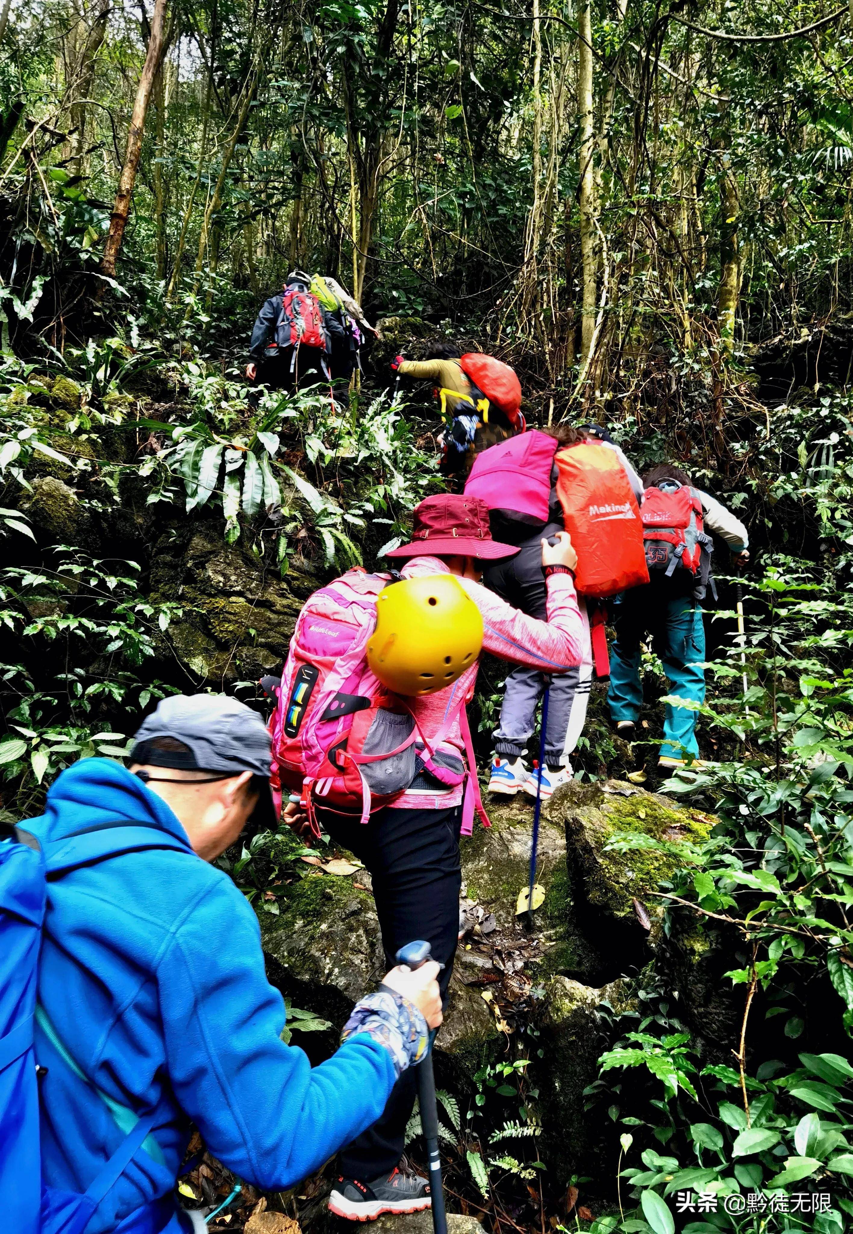 荔波茂兰露营基地图片