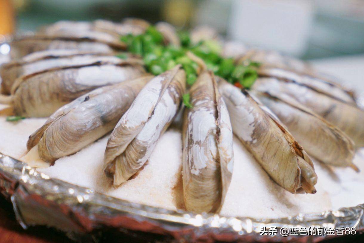 有一种海鲜,绽放在食物里,绚烂而极致,这就是宁海食府的海鲜