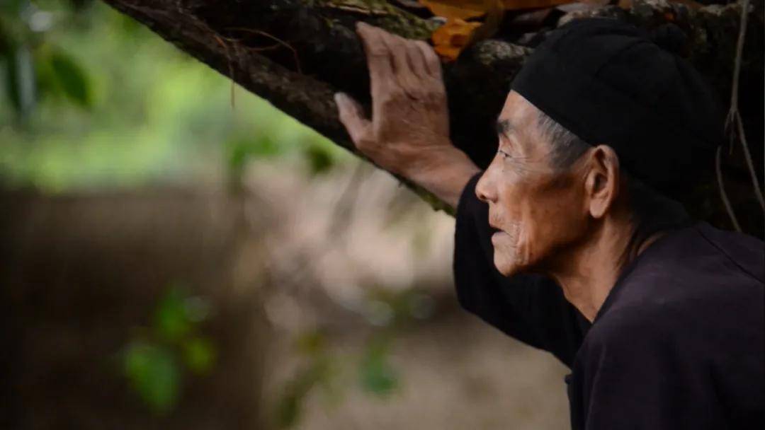 "中国最后的原始部落",被烧毁,佤族人8年的坚守与妥协_翁丁村_寨主