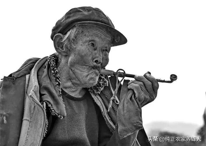 到底是现在的五保户活的很可怜,还是现在的老农民活的很艰难?