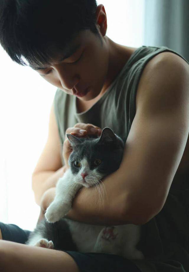 叫坚果,然后是一只短腿猫,是一个姑娘",说这句话的时候肖战眼睛里面是