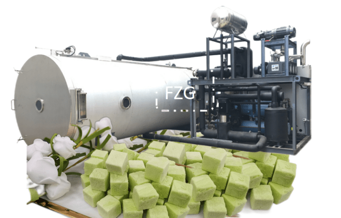 解密食品冻干机加工益生菌蔬菜冻干技术_进行_颗粒_真空