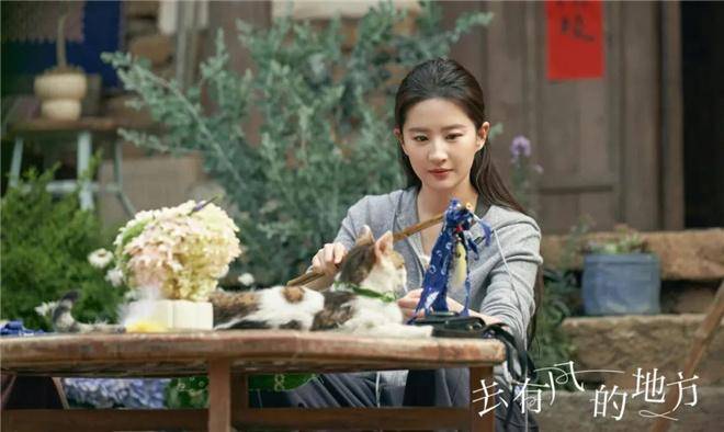 专访导演丁梓光-刘亦菲为什么选《去有风的地方》_生活_团队_创作