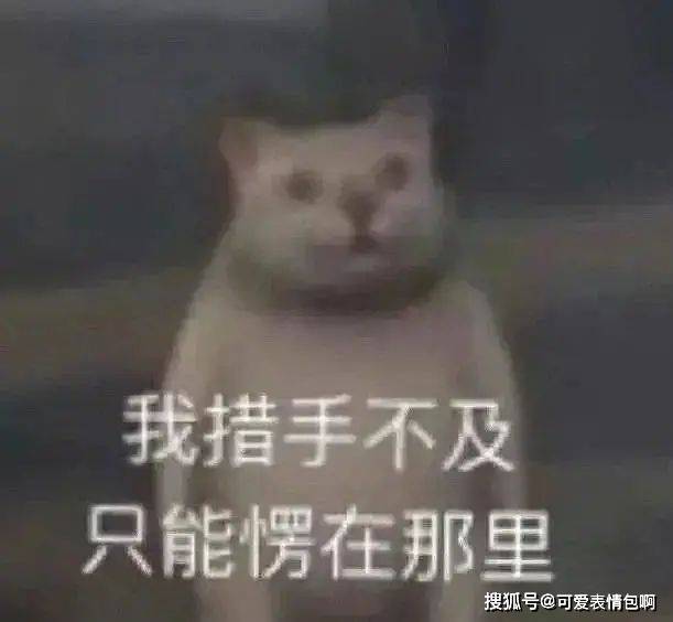 近期微信热门脸色包（有猪猪侠）