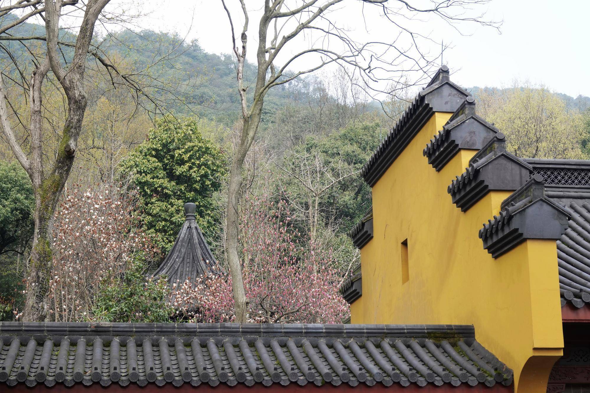 浙江杭州,靈隱之上的錢塘第一福地,永福寺那些多才