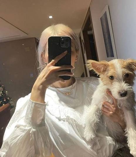 朴彩英的宠物狗hank,ins粉丝量将突破百万,这才是真"皇族"!
