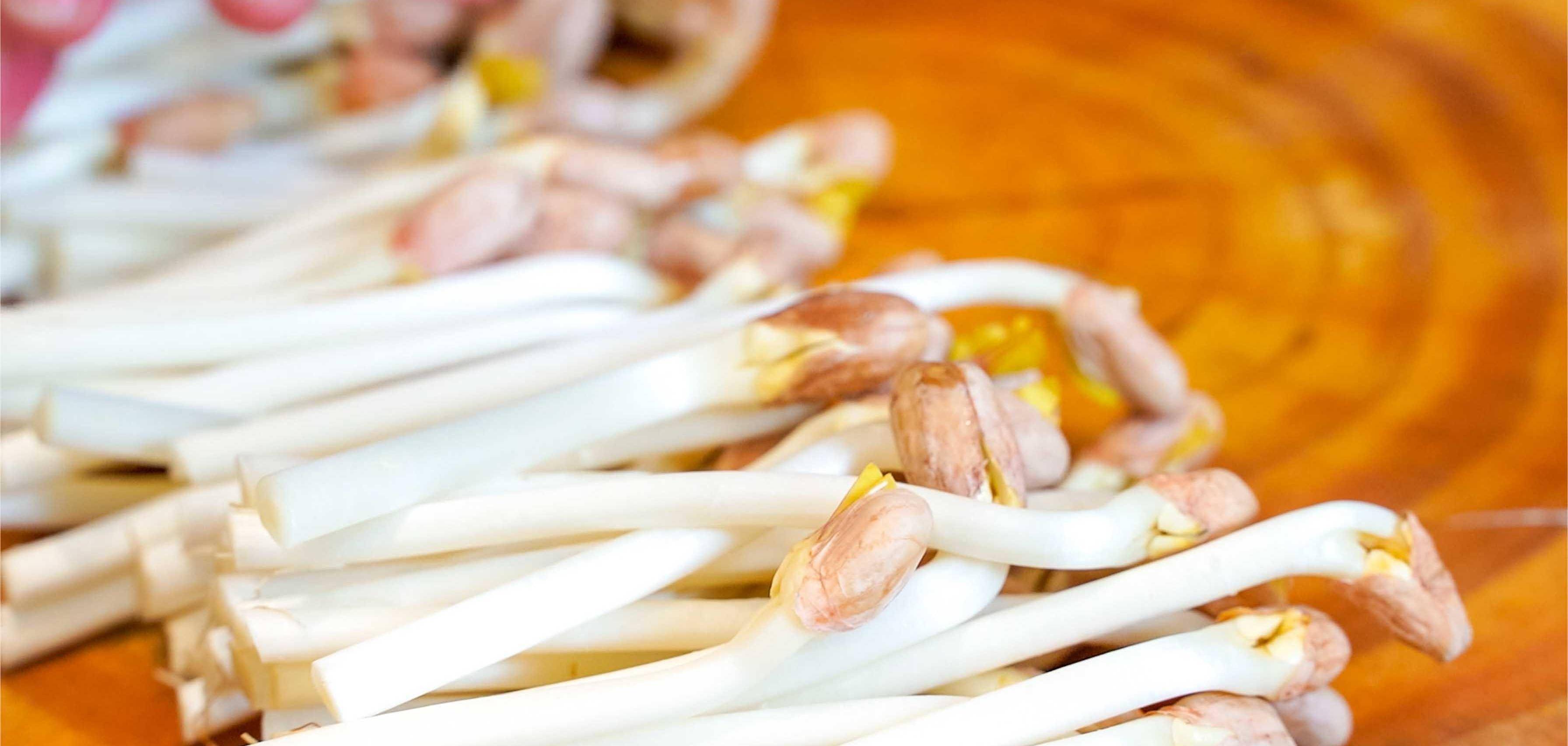 餐厅"花生芽炒肉丝"卖火做法,口感清甜爽口,很多人做错这步_五花肉