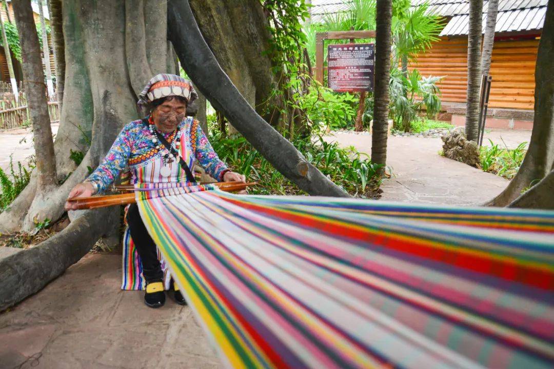 乐享云南|布·独龙毯_色彩_进行了_功能