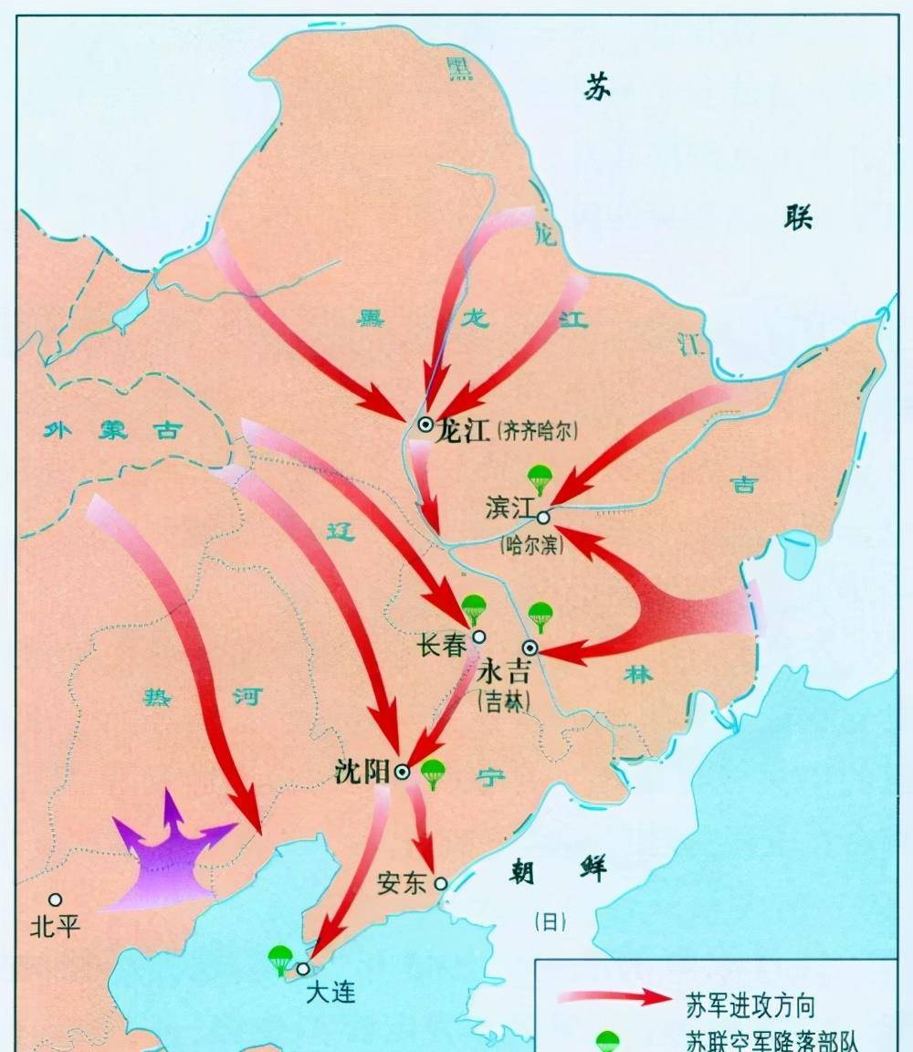 苏联档案揭秘:消灭关东军后,缴获的861架战机全交给四