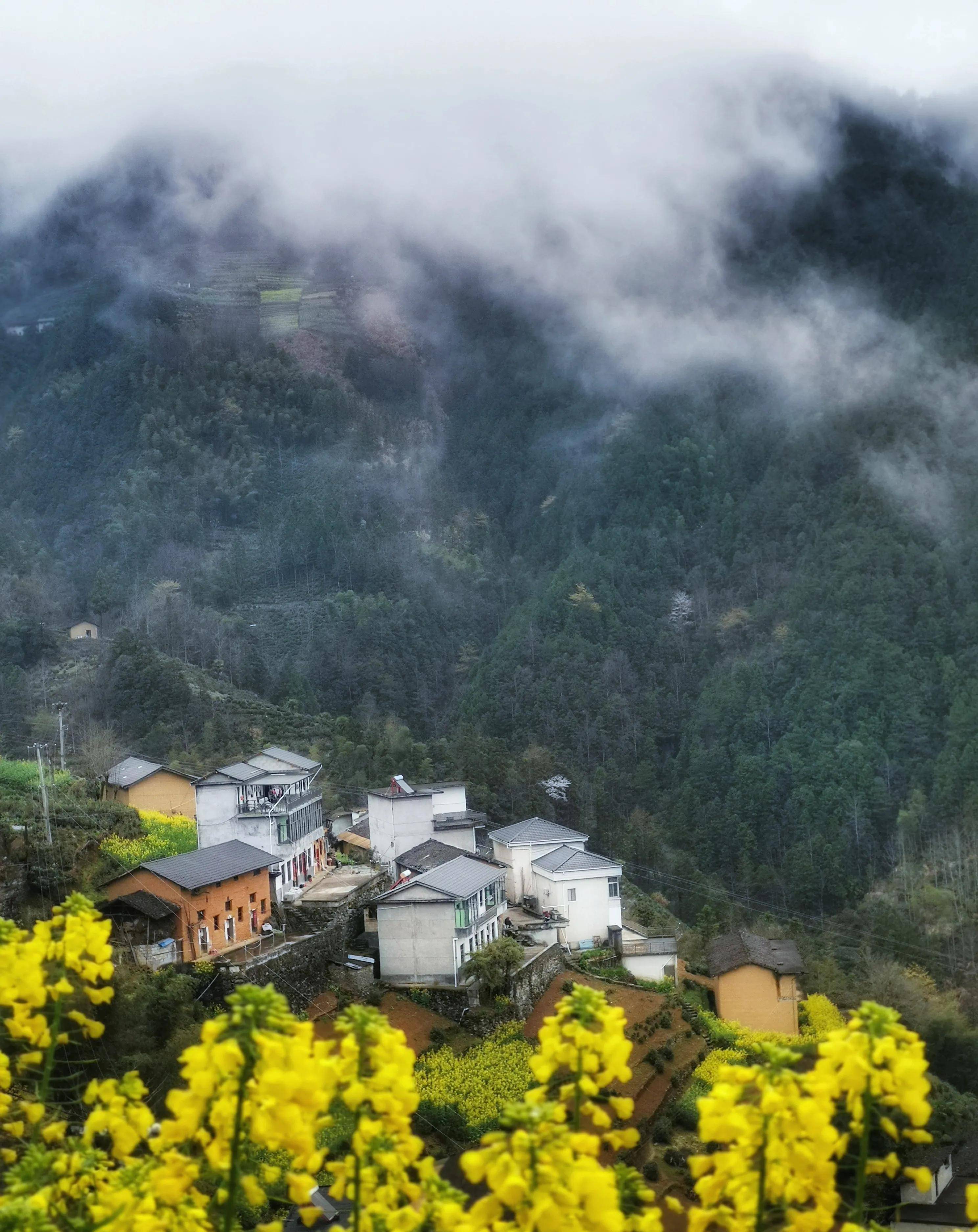 歙县蜈蚣岭风景区图片