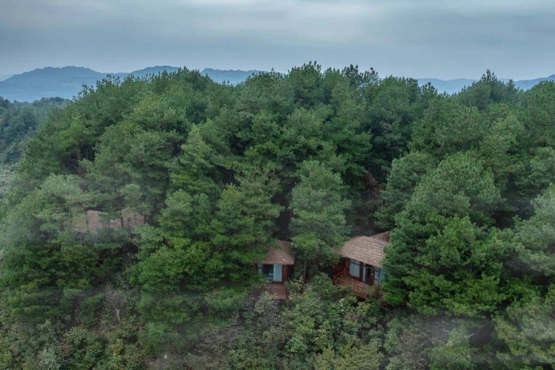 綦江避暑房"北纬29度康旅小镇"高庙坝坐拥广阔的森脉林谷被自然包裹着