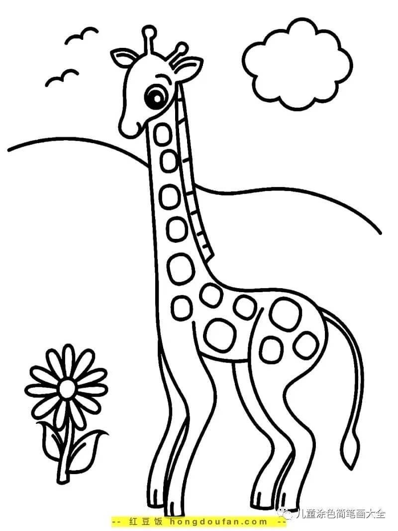 坐着的长颈鹿简笔画图片