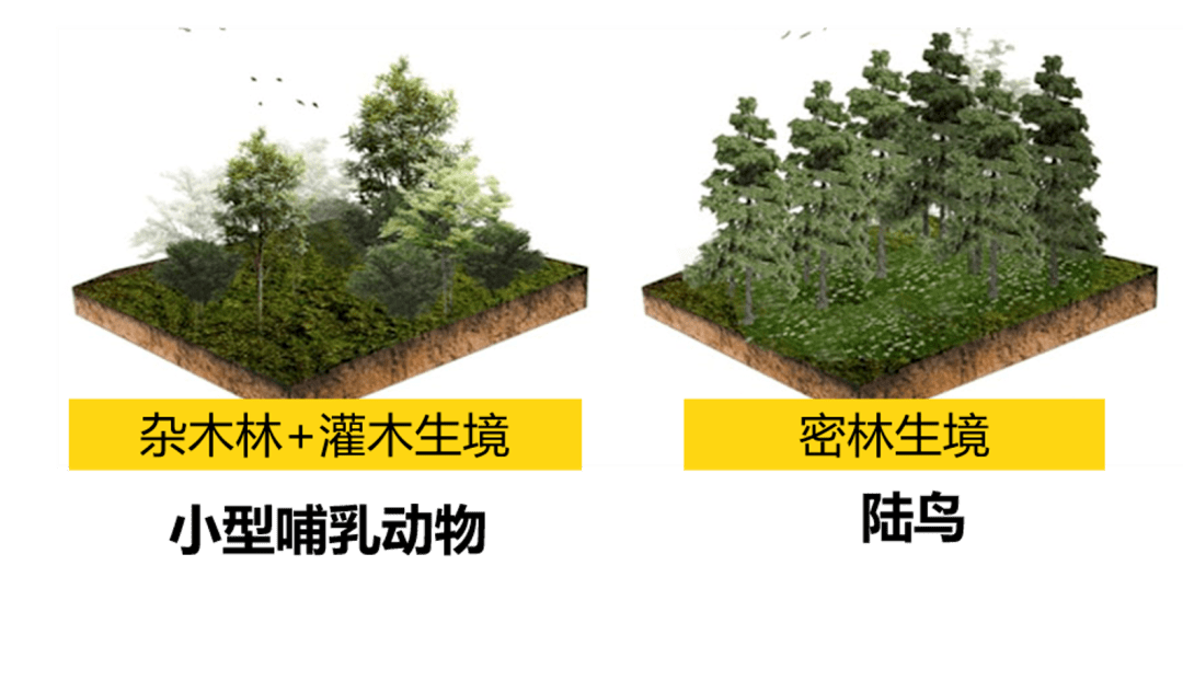 遠山排闥送青來——保定環城水系生態環境綜合治理規劃解析_河道_風貌