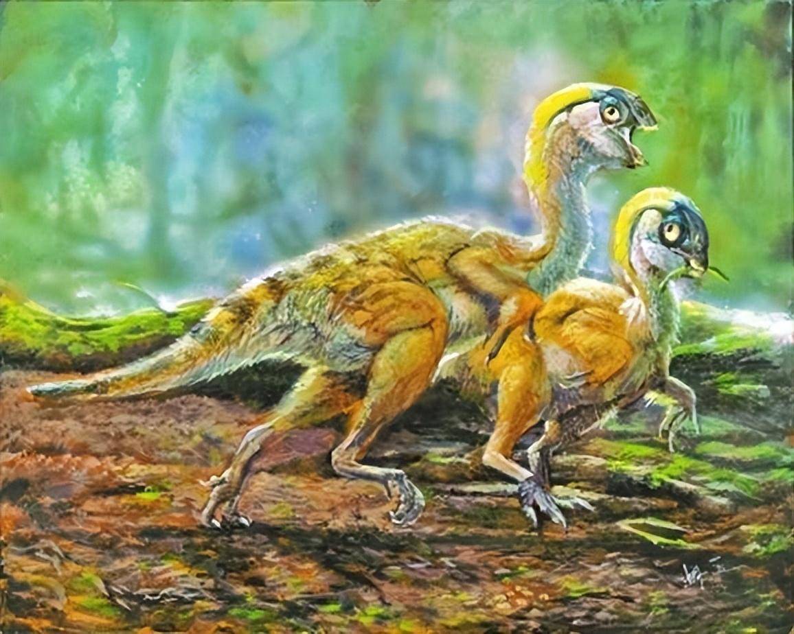 迷你豫龙复原效果图1迷你豫龙生物形象科学复原图2(10)中华贝贝龙中华