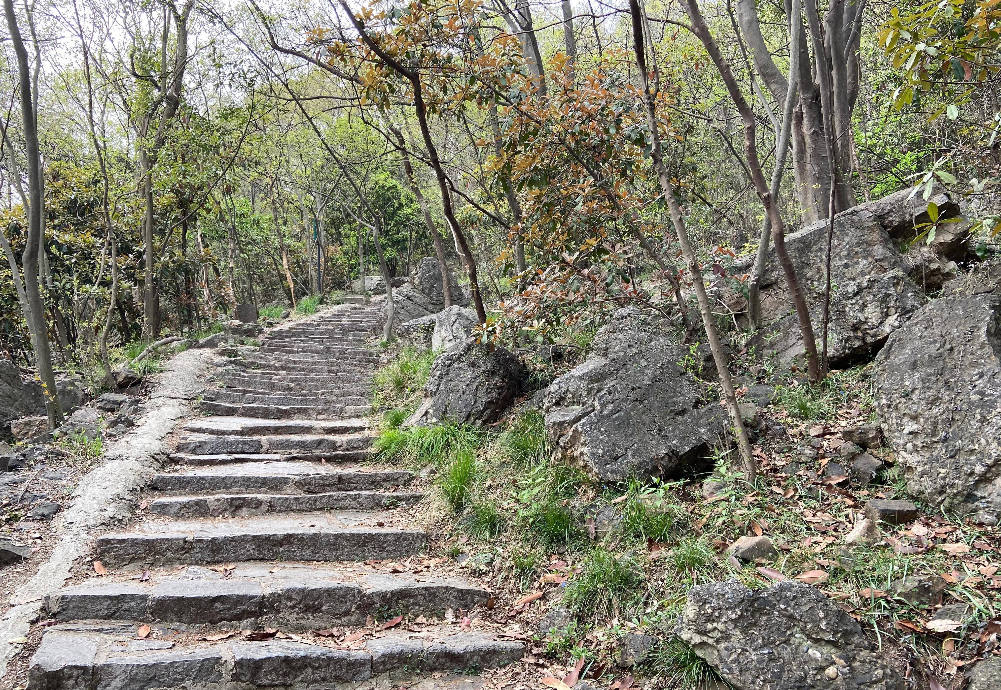 南京紫金山登山图片